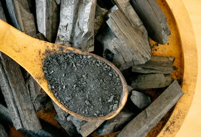 charbon végétal vecteur santé