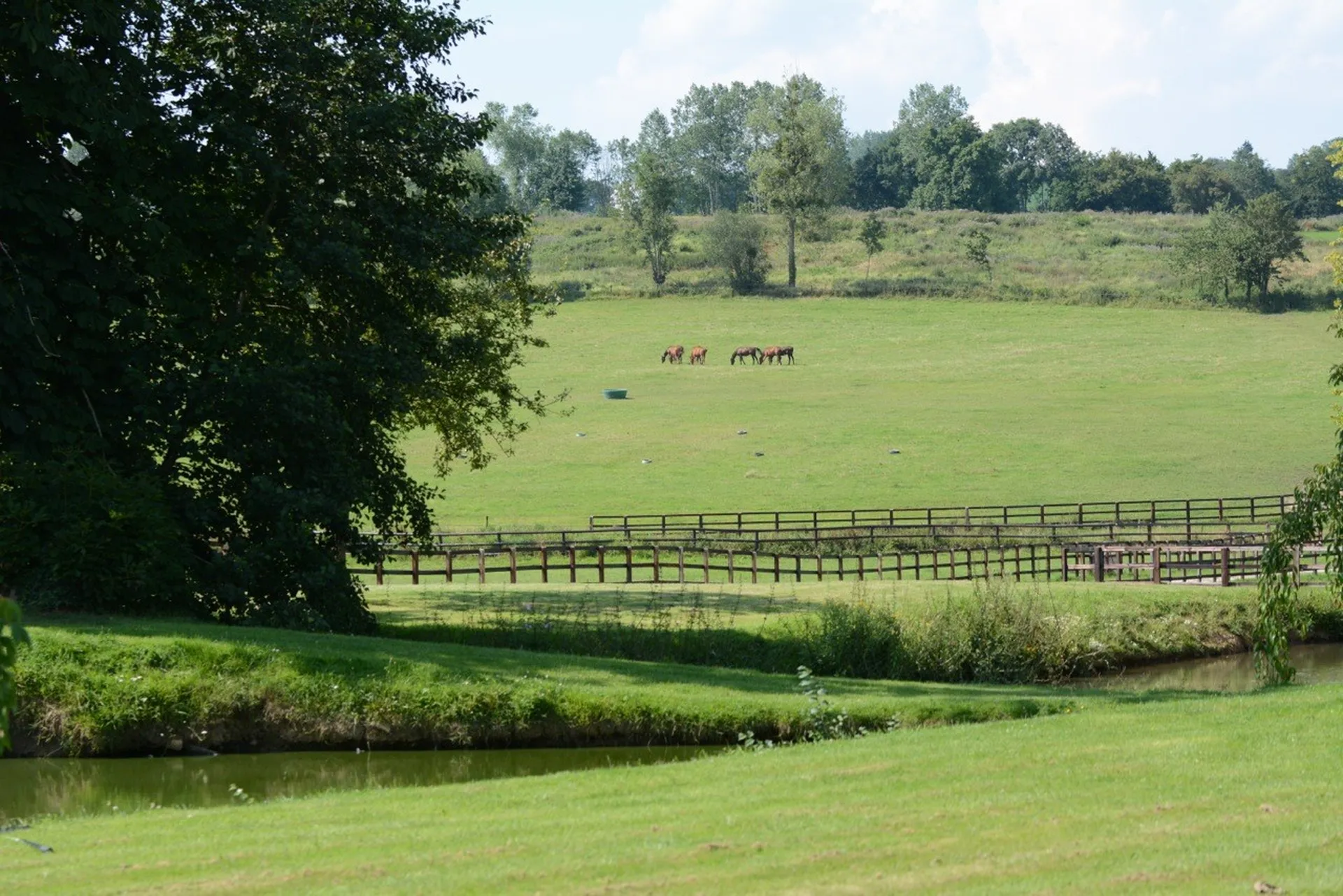 HARAS DE PUR-SANG A VENDRE DANS LE CALVADOS