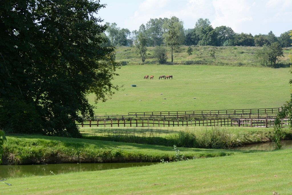 HARAS DE PUR-SANG A VENDRE DANS LE CALVADOS