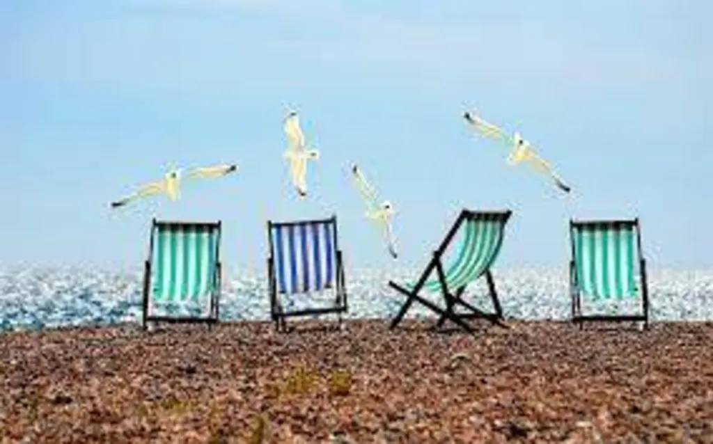 Location saison Tpe Ingenico ou PAX en 2025