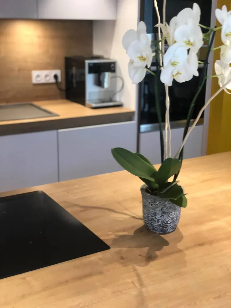 cuisine ilot vaulx en velin