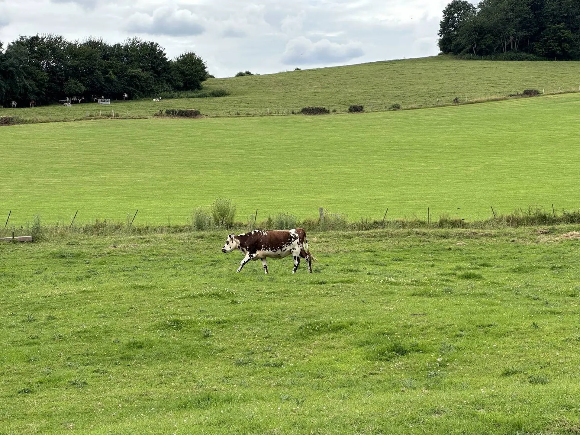 A vendre terrain constructible aux portes de LYONS LA FORET