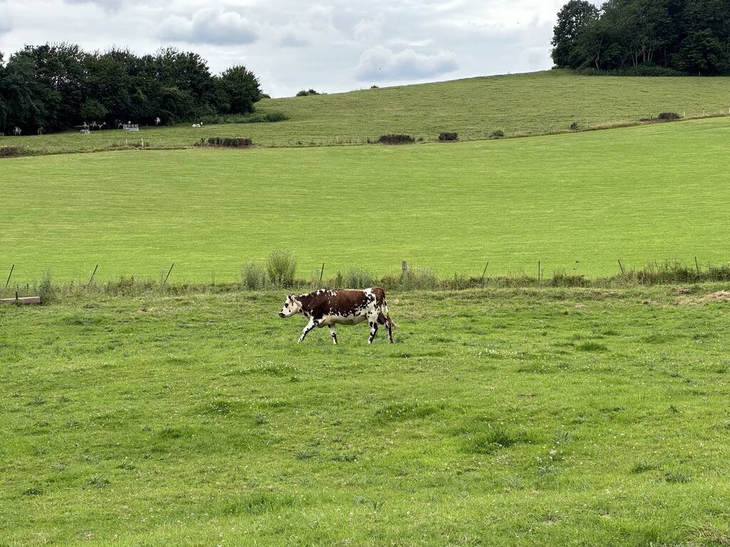 A vendre terrain constructible aux portes de LYONS LA FORET