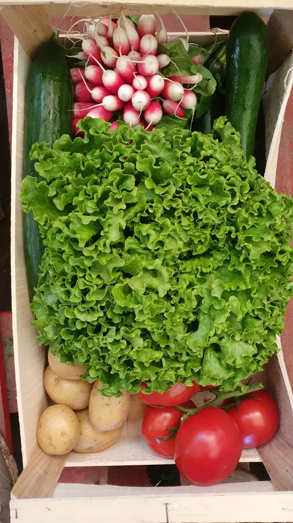 Notre zone d'activité pour ce serviceTarif de nos paniers AMAP : des fruits et légumes de saison en direct du maraîcher