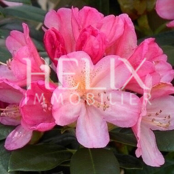 Appartement meublé 2 pièces au coeur du centre ville à Saint-germain-en-Laye