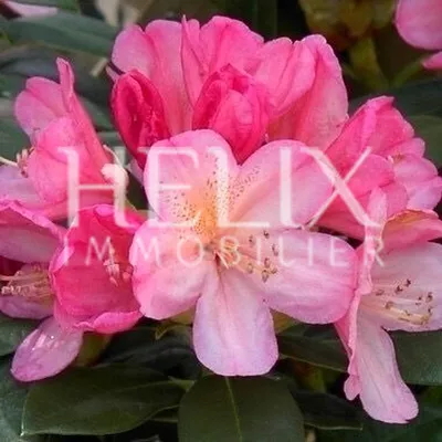 Appartement meublé 2 pièces au coeur du centre ville à Saint-germain-en-Laye