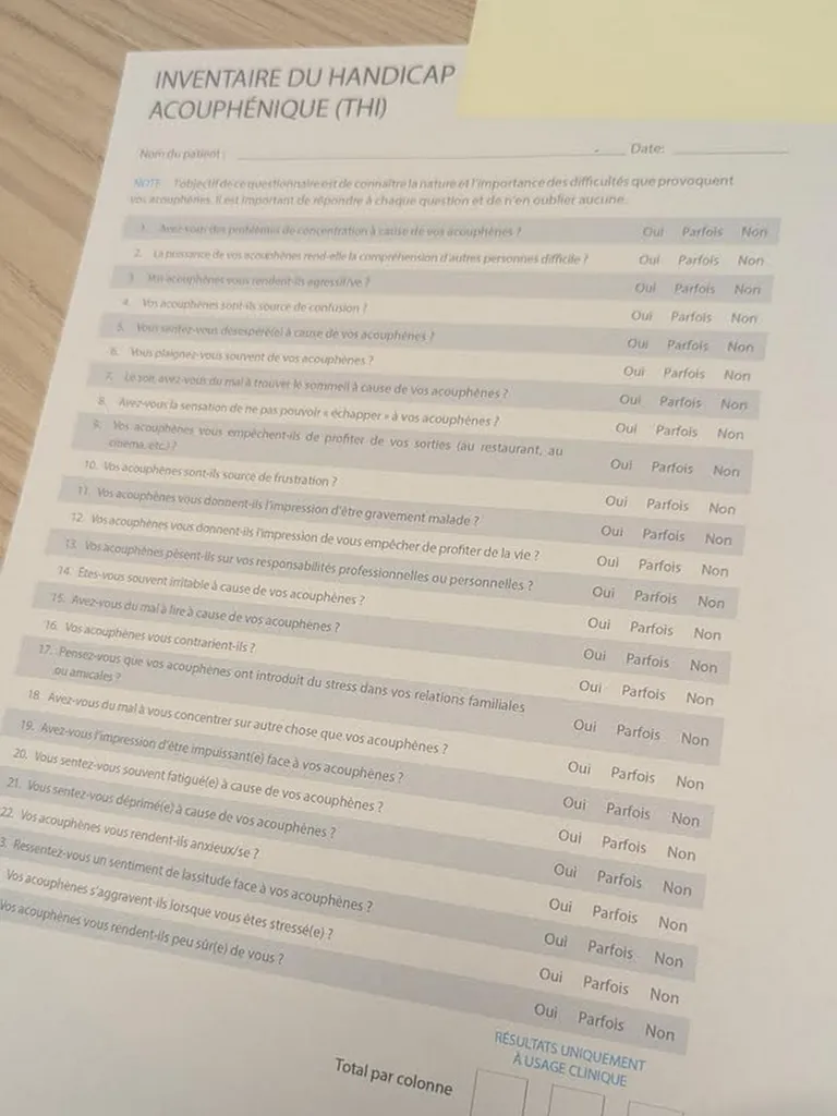 Questionnaire THI