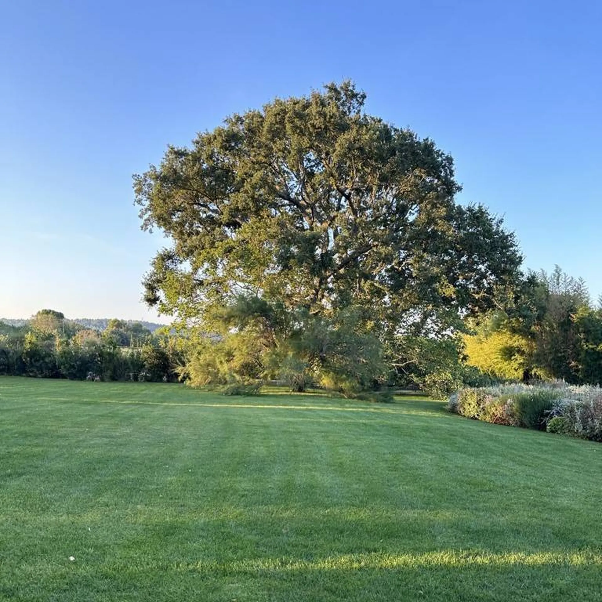 Carré Vert, paysagiste pour entretien d'espaces verts dans un domaine à Lourmarin 84160, pour un jardin parfaitement entretenu et soigné