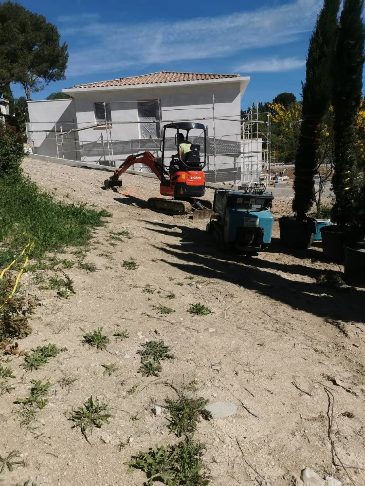 Plantation cypres Eguilles