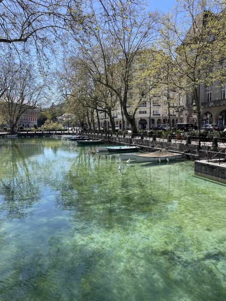 Lac d'Annecy demenagement OBEN