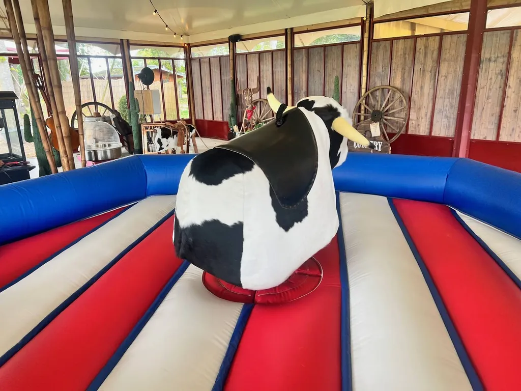 location d'un taureau mecanique au Havre