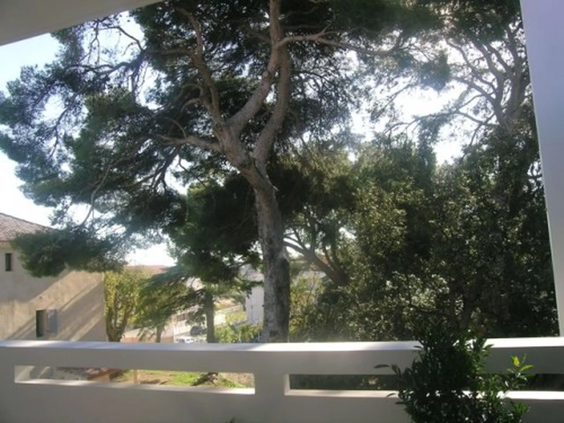 recherche appartement la ciotat vente