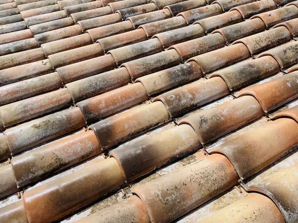 Nettoyage et traitement de tuiles mécaniques Abeilles sur Bouc Bel Air près de Aix en Provence 