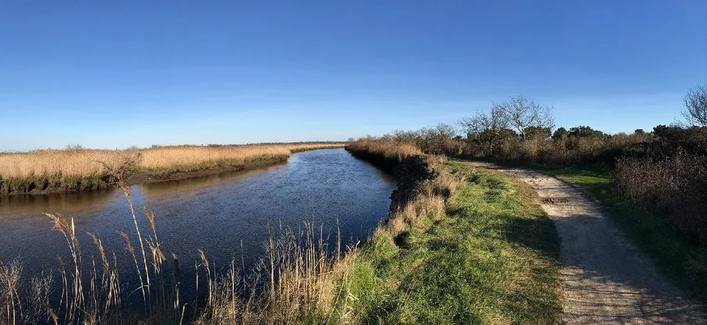 Explorez le delta de la Leyre, fleuve côtier sauvage, entre biodiversité unique et dégustation gourmande sur le Bassin.