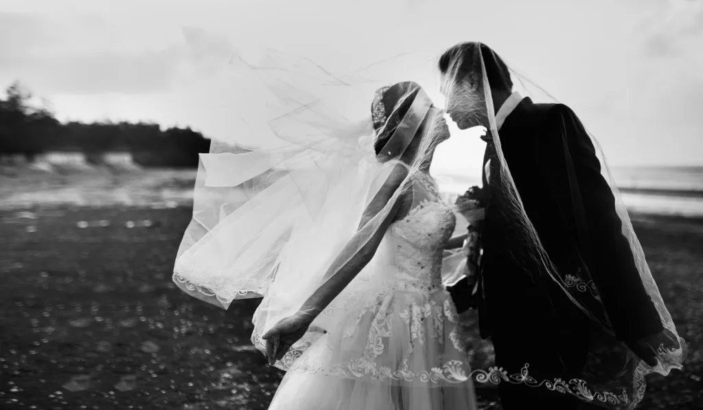 Devis pour prestation mariage intimiste 80 personnes à Toulouse et Haute Garonne