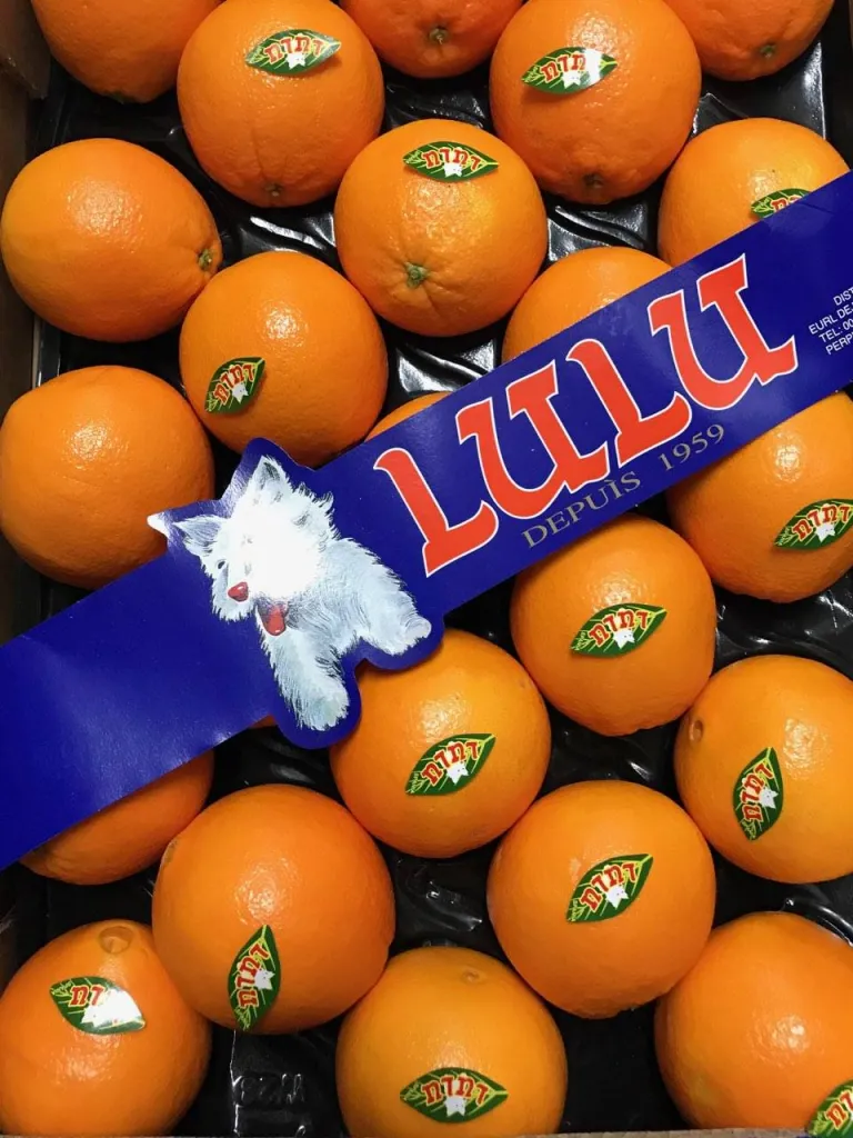 Acheter ses Oranges de table à Ma Ferme proche d'Aix en provence