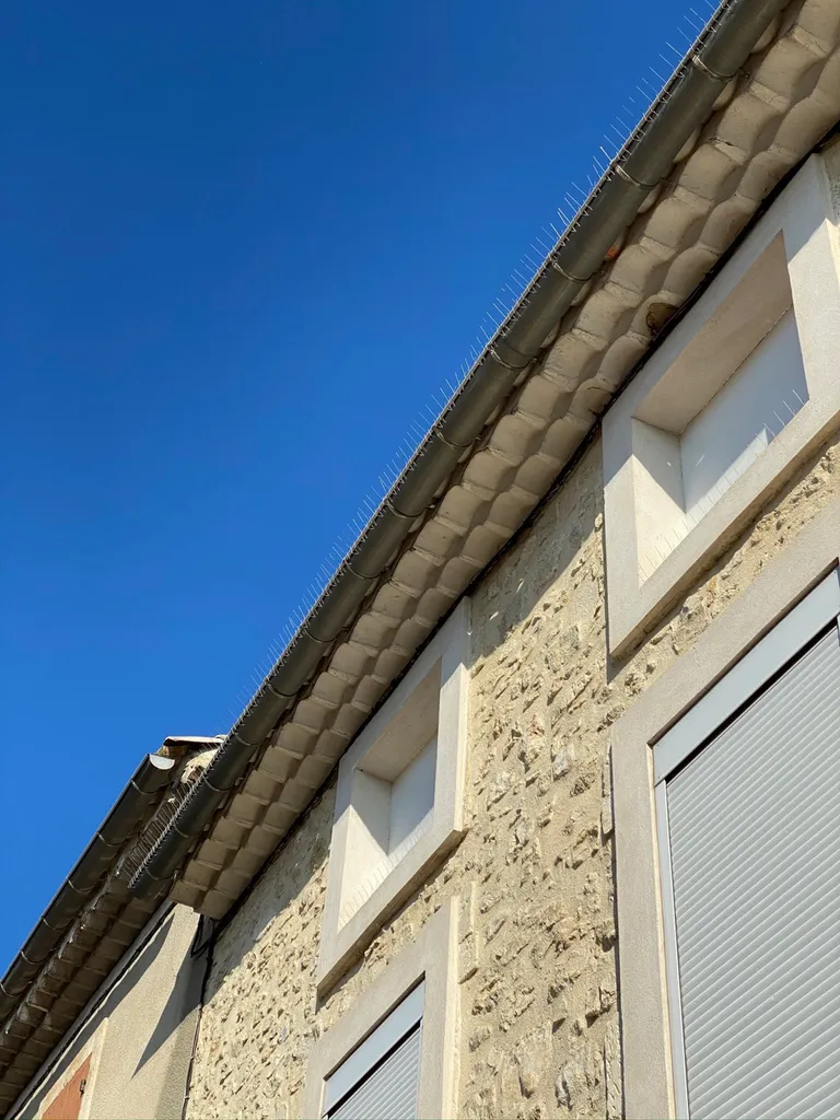 Pose d’ecopic gouttière sur la commune de Lapalud dans le Vaucluse (84) - FBC nuisible