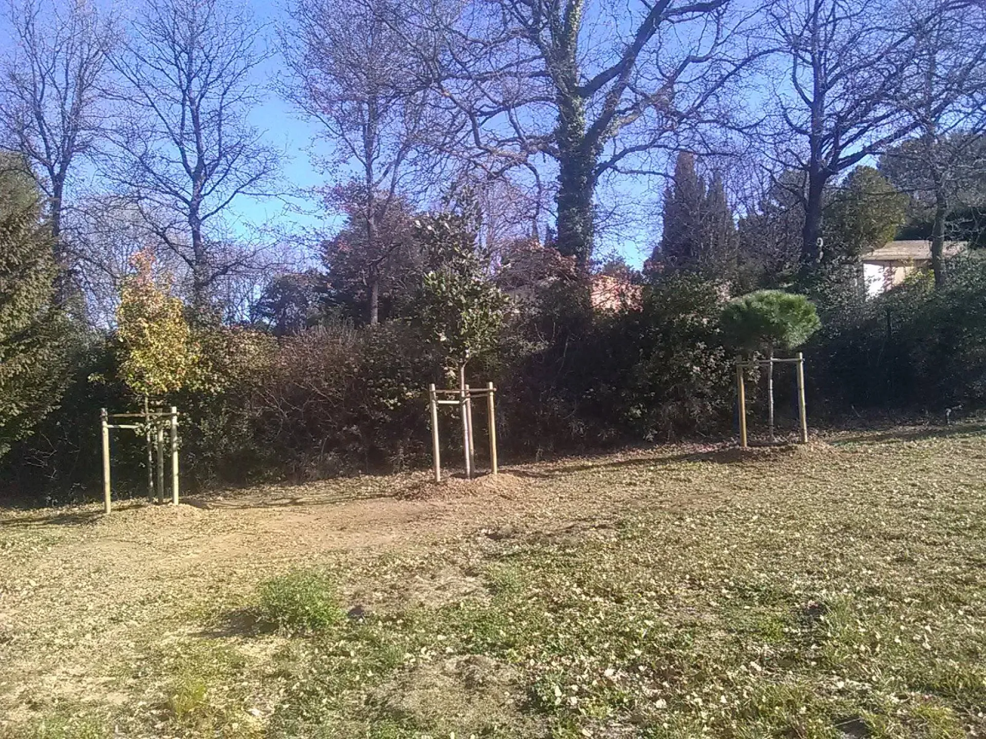 Paysagiste pour plantation de haie Aix en Provence Paysagiste pour plantation de haie Aix en Provence