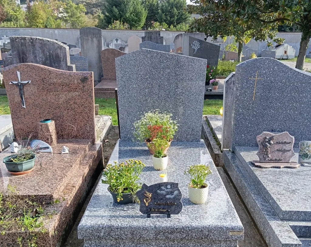 cimetière de la région lyonnaise différents types de concessions