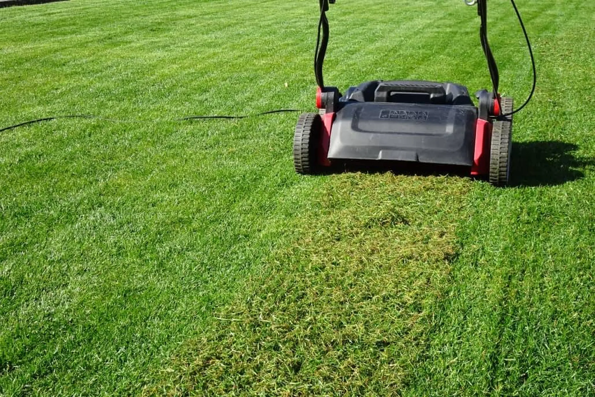 Scarification pelouse Ollioules