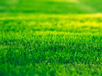 Poseur de pelouse synthétique vers Pernes les Fontaines