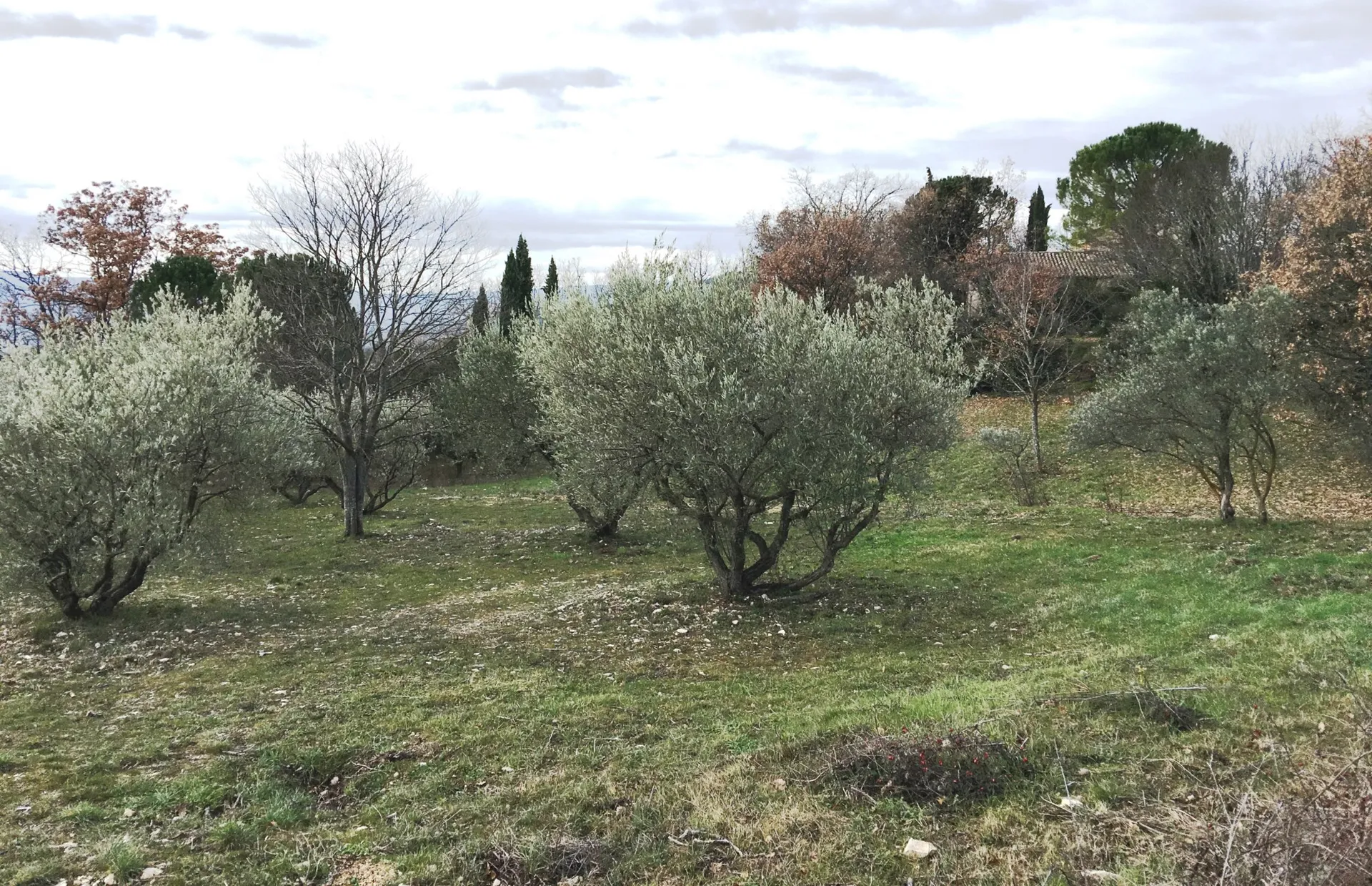 Terrain à bâtir à vendre par ROSIER