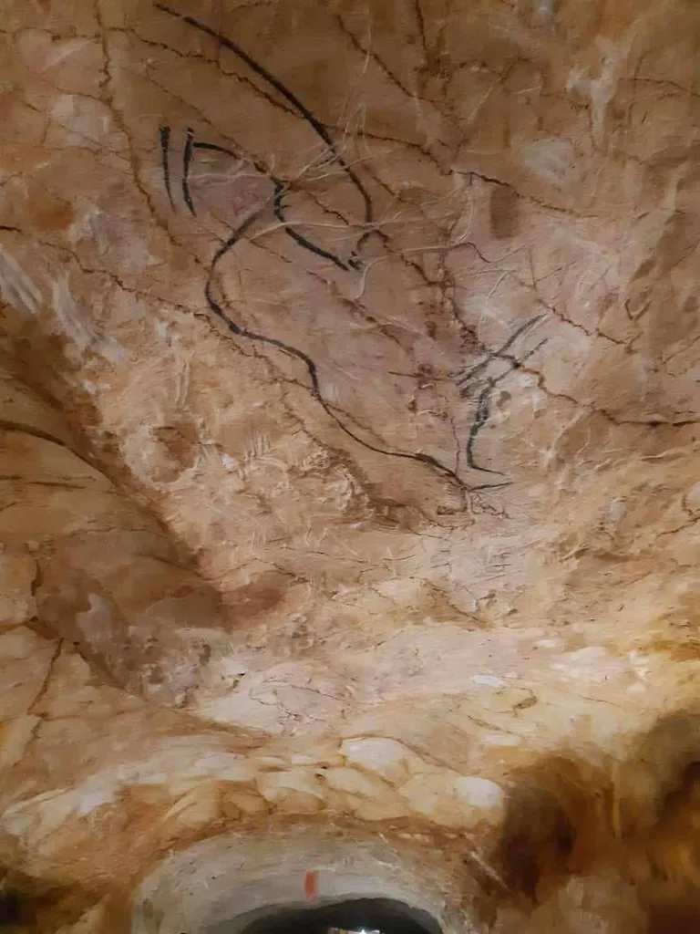 La Réplique de la grotte Cosquer 