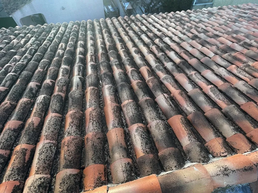 Intervention de couvreur pour un nettoyage de tuiles de toiture de maison près de Aix en Provence 