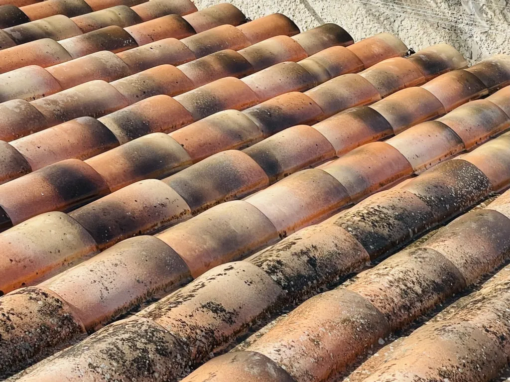 Nettoyage et traitement de tuiles mécaniques Abeilles sur Bouc Bel Air près de Aix en Provence 