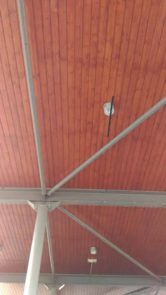 Pose de filet anti pigeon en sous face préau d'école à Marseille 13016