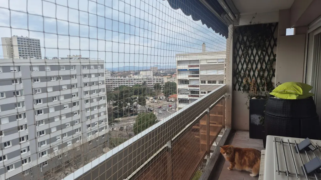 filet anti chute pour chat aix en provence