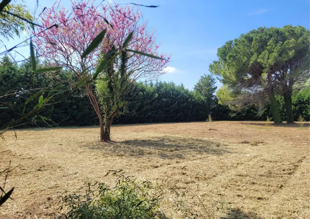 Superbe parcelle constructible à la vente, proche du centre ville de Saint Remy de Provence dans les Bouches du Rhône