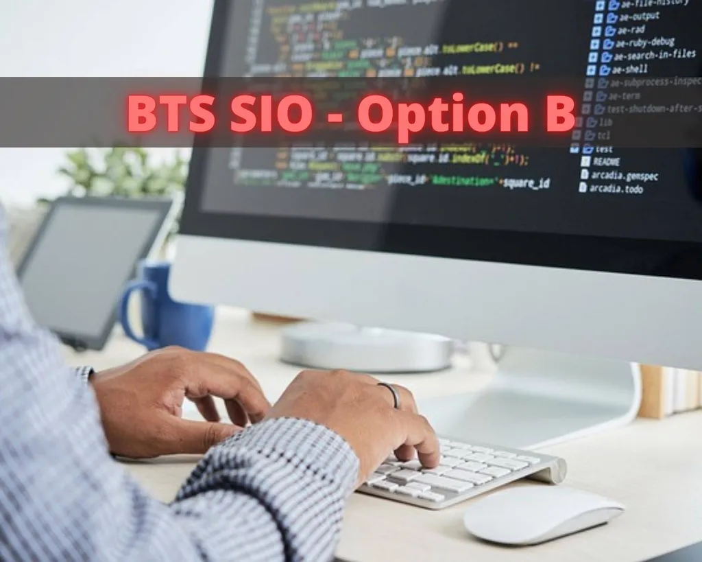 BTS Services Informatiques aux Organisations Option B Solutions logicielles et applications métiers à Marseille