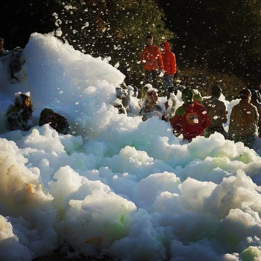 Location d'une machine a mousse au Havre 76