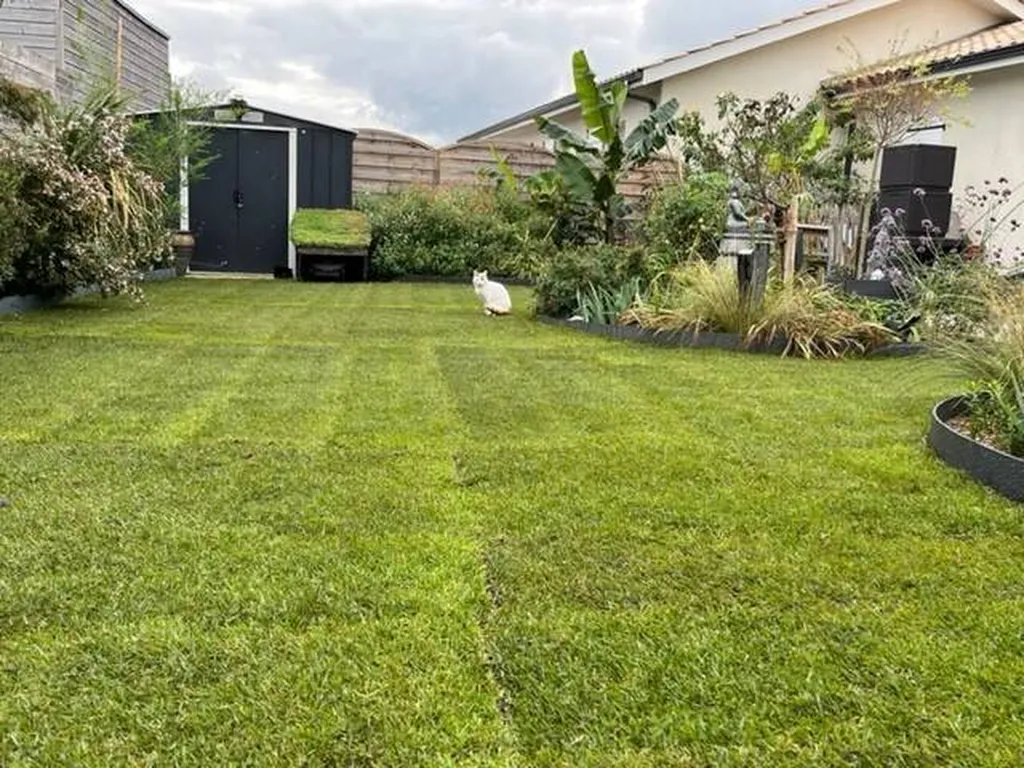 Réalisation d’un gazon en rouleaux sur un espace vert près de Contis