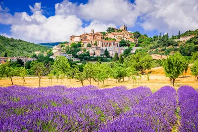 Excursion touristique avec chauffeur privé premium pour découvrir la Provence au départ de Marseille