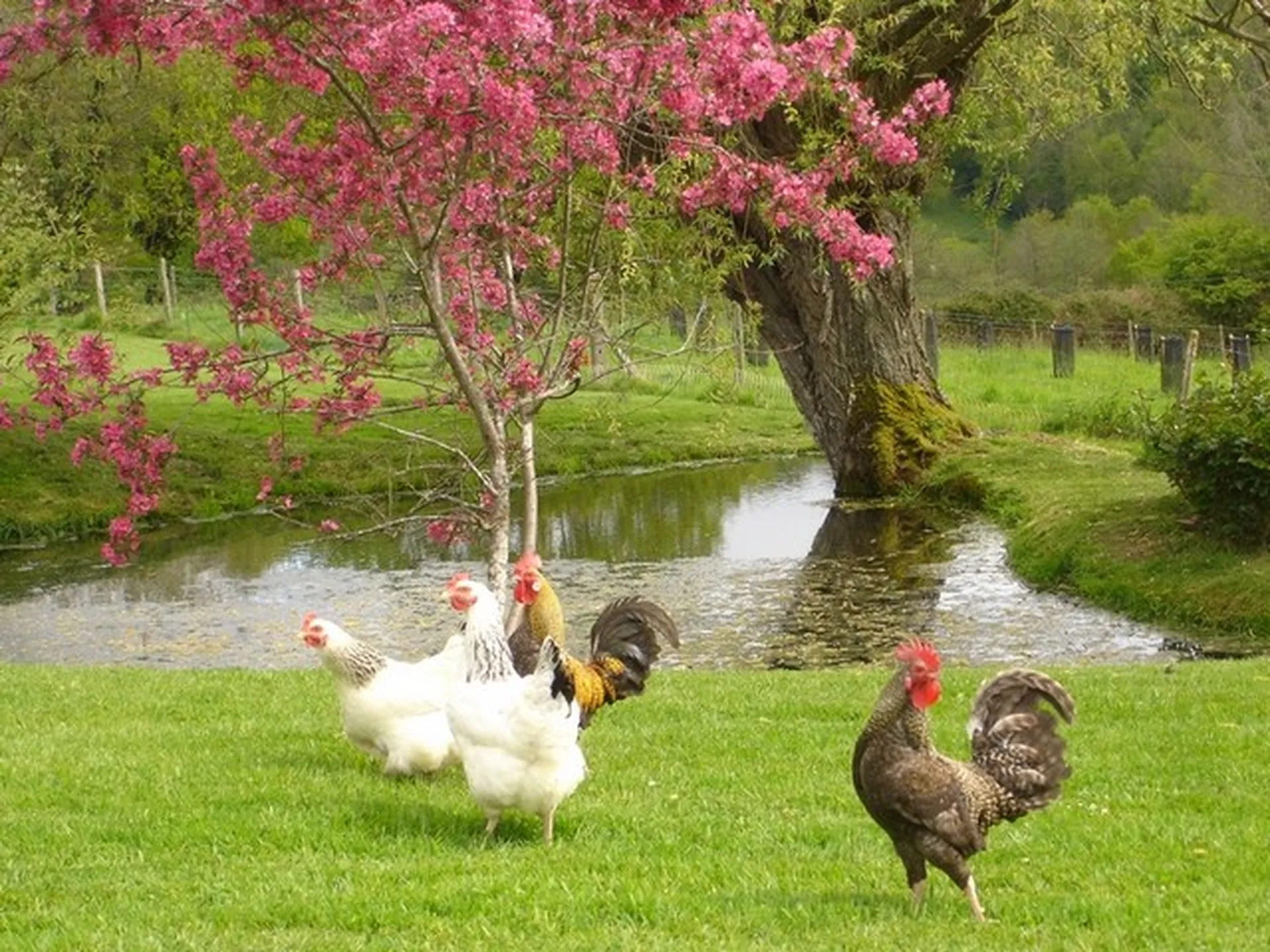 MAISON NORMANDE Vallée de la Risle