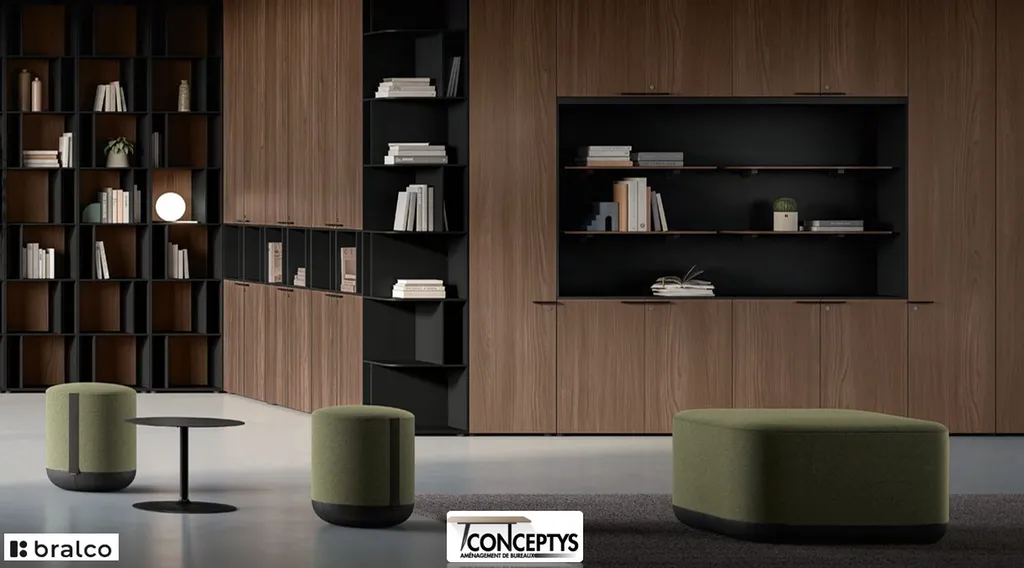Ensemble de rangement bois avec Alcove
