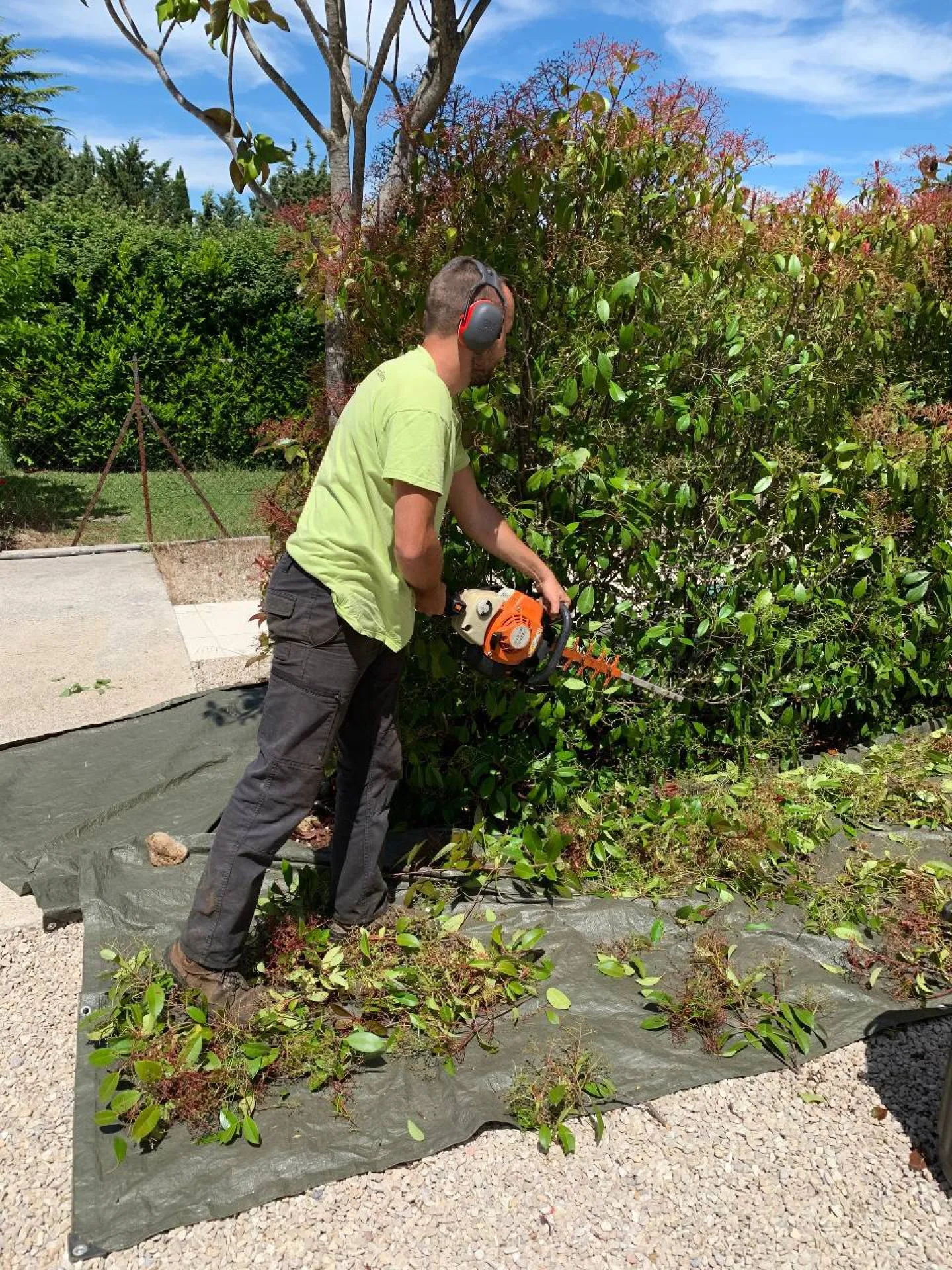 taille de haie en hiver par paysagiste professionnel dans les bouches du rhone