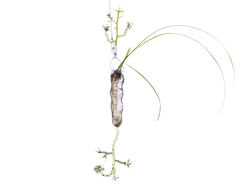 photographe d'oeuvre d'art à Lyon pour galerie d'art