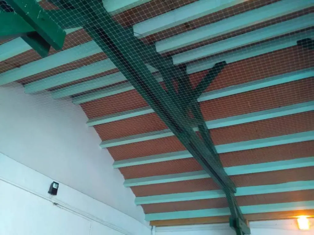 filet anti pigeon école marseille