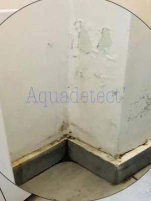 Problème d'humidité et du salpêtre dans un appartement à TOULON