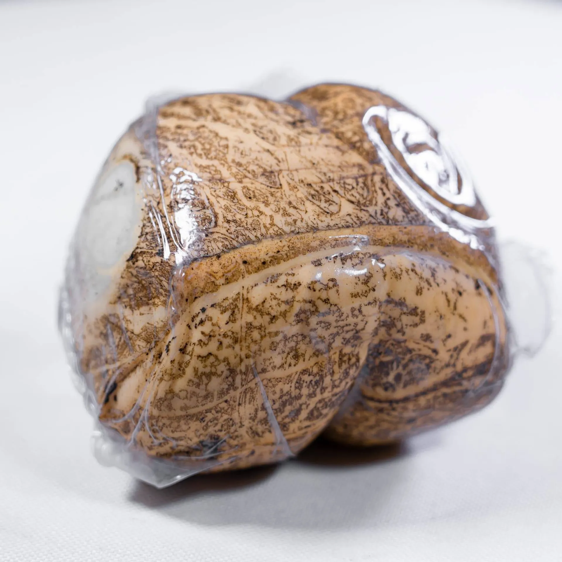 Epicerie italienne pour acheter du fromage italien à Pernes les Fontaines