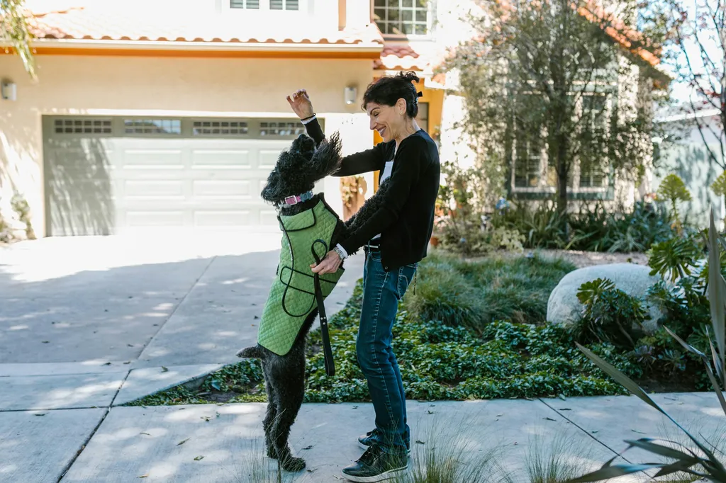 rendez-vous avec une consultante en comportement canin certifié sur bordeaux