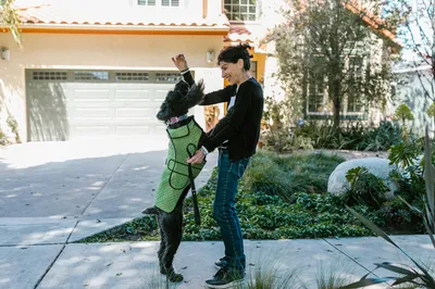 rendez-vous avec une consultante en comportement canin certifié sur bordeaux