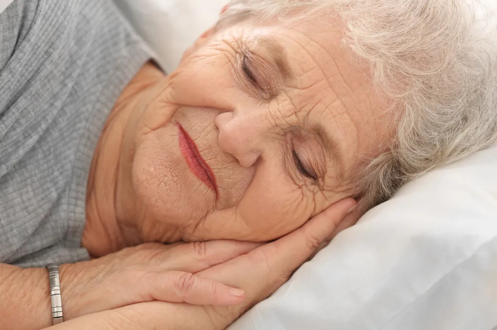 Service garde de nuits et de jours 