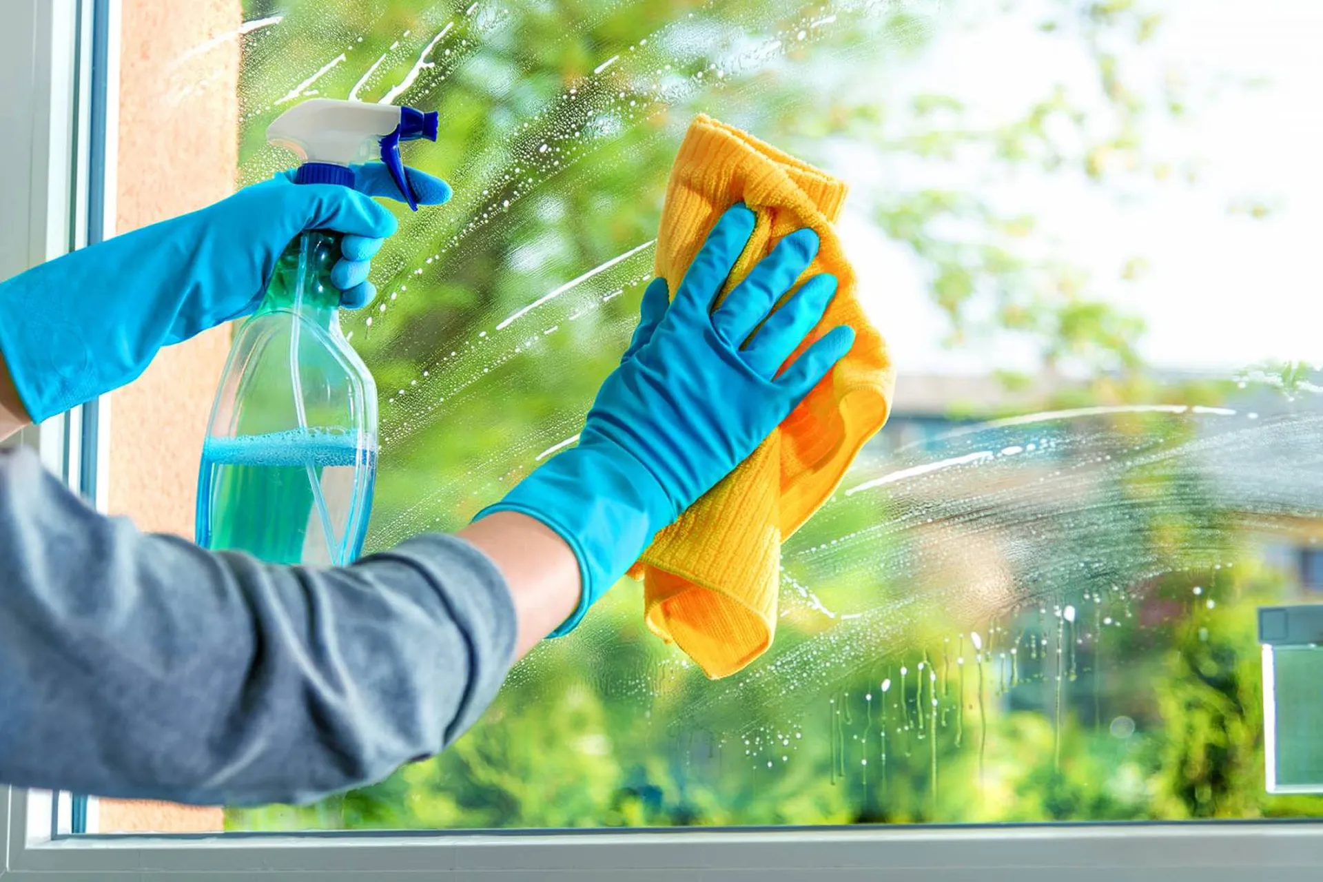 Hema Services : la compétence, fruit de l'expérience