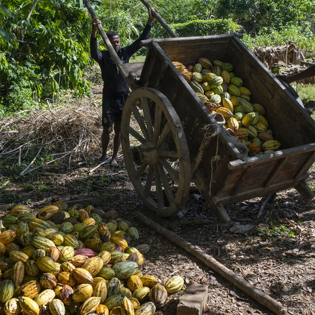 La Plantation Terrakoa, au cœur du Sambirano