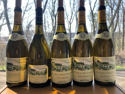 Les vins du Chablis