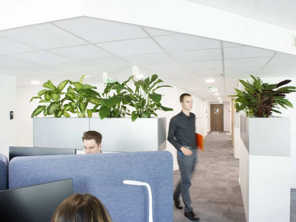 photographe d'agencement d'espaces intérieurs open space